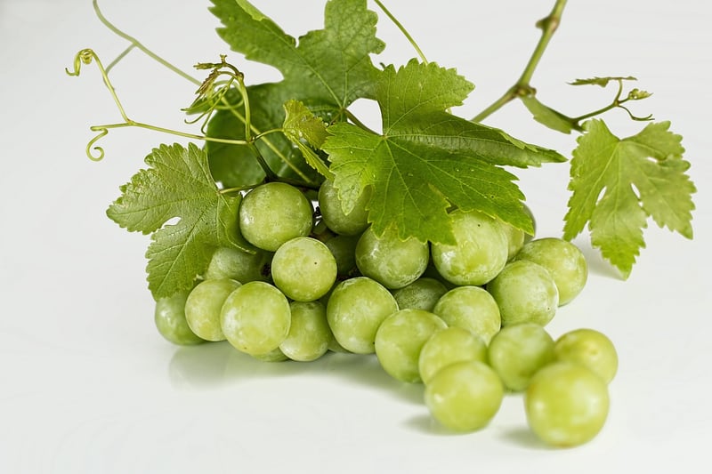 Grape Harvest Experience